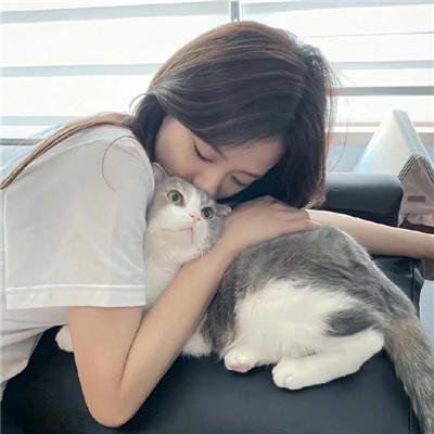 柏林猫咪日记